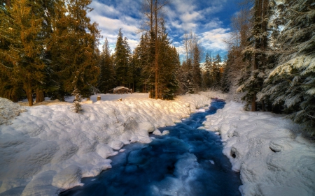 Winter in forest - snow, Winter, stream, forest