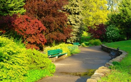 Rest in park - pretty, trees, sunny, alley, summer, beautiful, spring, walk, rest, garden, bench, park