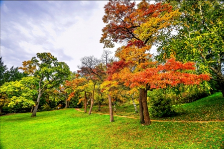 AUTUMN - sky, trees, landscape, lovely, road, nature, pathway, forest, beautiful, seasons, splendor, leaves