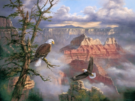 eagle - nature, art, eagle, montains