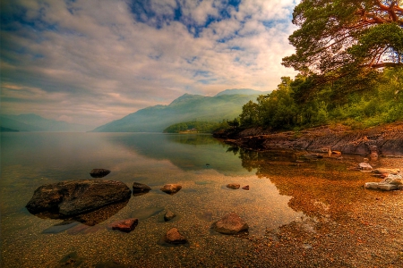 Lomond Light - nature, lake, forest, landscape