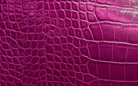 Pink skin - skin, abstract, alligator, pattern, texture, pink