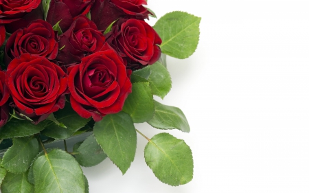 For You! - white, red, green, valentine, rose, mother, flower, day