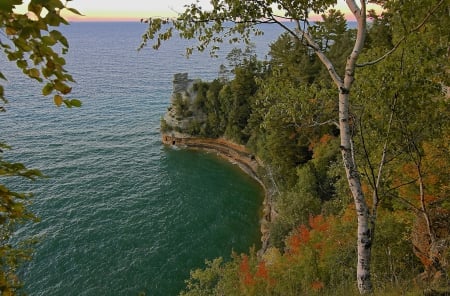 Forest Cliff - sea, trees, nature, amazing