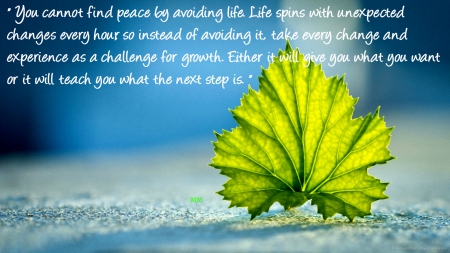 Personal Growth - nature, thoughts, leaf, words, quotes, flower