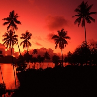 red fijian sunset