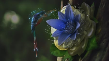 Beautiful Humminggird & Flowers - bird, flower, hummingbird, animals