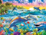 Tropical Dolphins