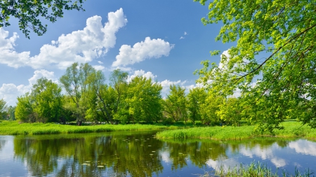 Beauty of the Nature - clouds, trees, nature, green, grass, sky