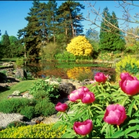 Cambridge university botanic garden