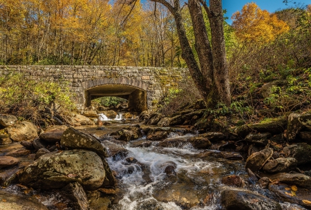 Old Bridge - trees, autumn, creek, hdr, forest