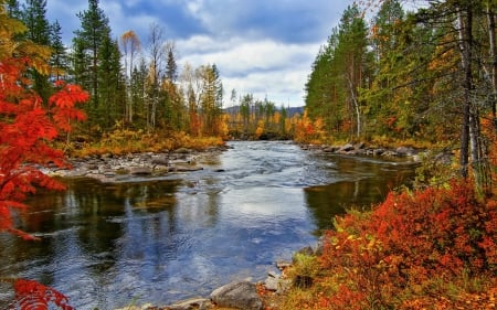 Autumn River - trees, water, river, autumn