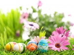 Spring & Easter