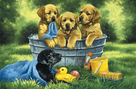 Puppy Bath - Puppy, Bath, play, sweet