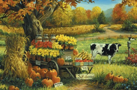 Countryside Stand - pupkins, countryside, autumn, stand