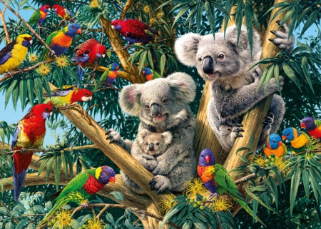 Cuddly Koalas - pretty, nature, Cuddly, art, Koalas