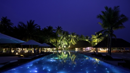 Resort - palm, resort, swimming pool, trees, night