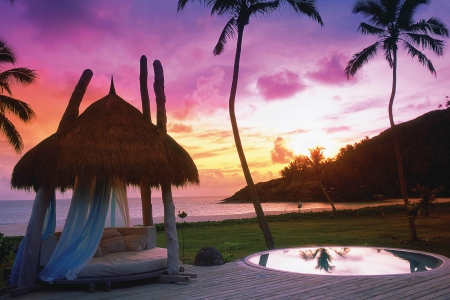 Ocean - palm, pool, trees, ocean, night