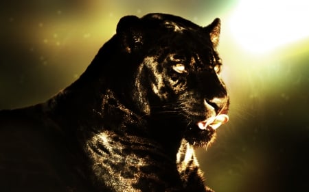 amazing black panther