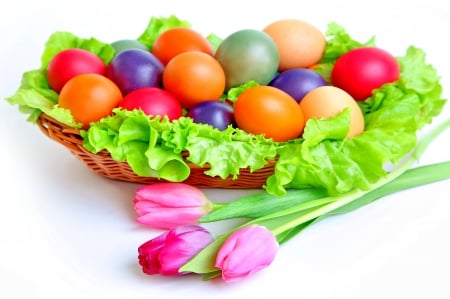 EASTER EGGS FOR ALL DN FRIENDS - colors of easter, tulips, shells, easter, leaf, lovely, eggs, pink, beautiful, leaves, flowers, flower