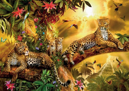 Golden Leopards - nature, predator, leopards, jungle, family, golden, sunset