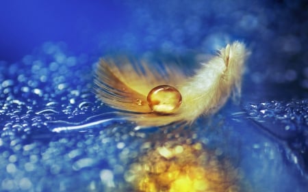 Drops and Feather