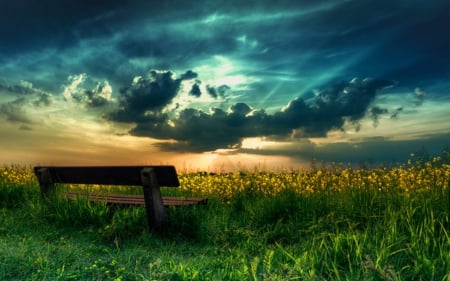 Near Sunset - nature, beanch, sky, grass