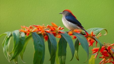 Cute Little Bird - leaves, nature, bird, branch