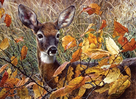 Autumn Lady - Autumn, grass, Lady, leaf