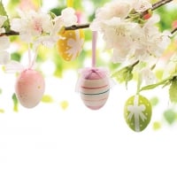 Easter Eggs and Blossoms