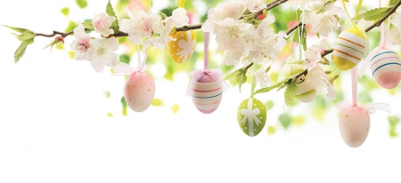 Easter Eggs and Blossoms - branches, eggs, blossoms, easter, flowers, spring