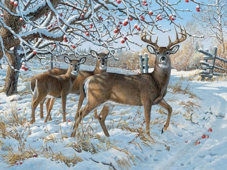 The Winter Deer - trees, adorable, sunlight, winter, lovely, deer, painting, nature, snow, artwork