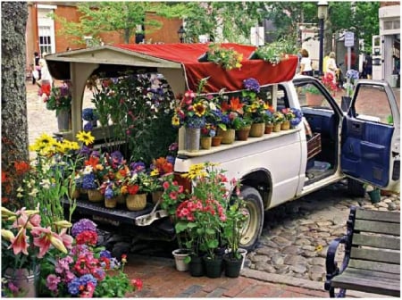 car at flower - travel, colors, flower, car