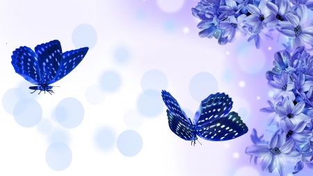 Lilac Blue Butterflies