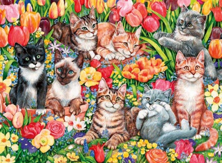 Garden Cats - flowers, garden, spring, cats