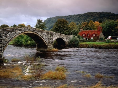 Bridge and River - river, trees, mountains, cottage, bridge