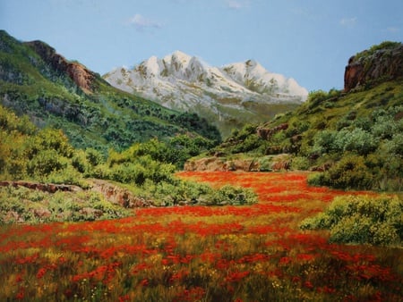 Picturesque Scenery - grasses, mountains, red flowers