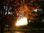 Autumn Landscape