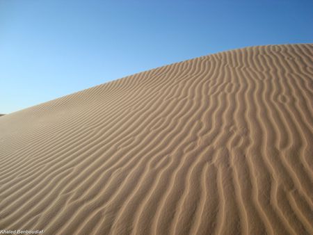 wind marks - desert, sand, dune