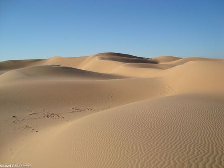 dune 03 - nature, desert, sand, dune