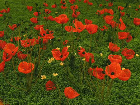 Bright Red Flowers - field, craft, flowers, grass