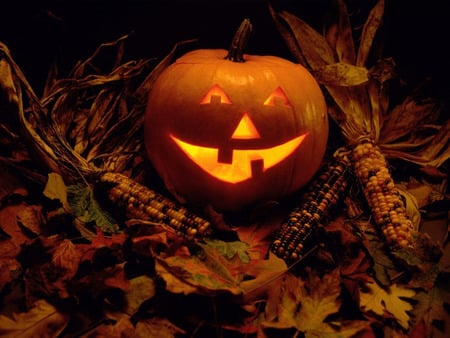 Happy Autumn - jack o lantern, harvest, corn, pumpkin, still life, leaves, fall, autumn, halloween