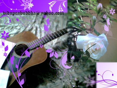 Guitar With Rose - white, guitar, rose, pure