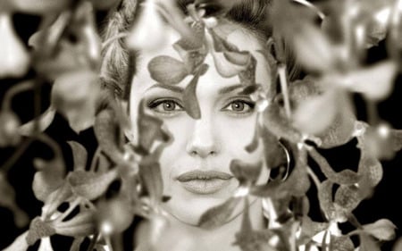 Angelina Jolie  - hollywood, black and white, actress, movies