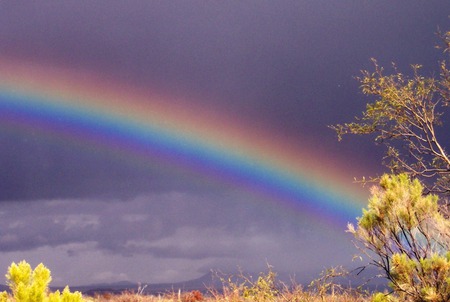 Rainbow - nature, rainbows