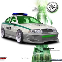 police car