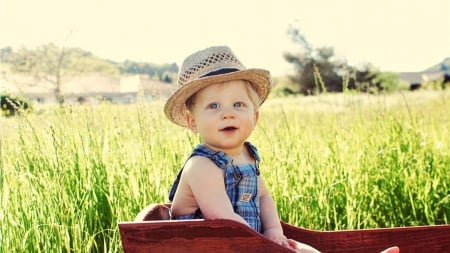 little boy loves the country life - boy, fields, green, wagon, country