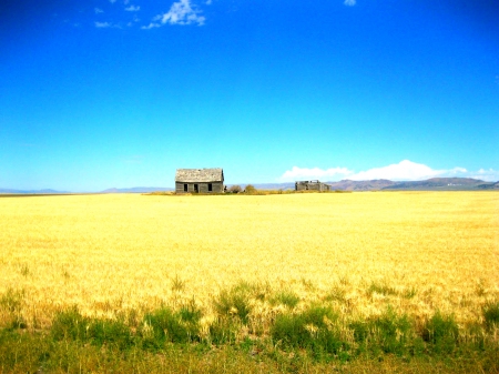 House In The Field - nature, view, panorama, field, house, mountains, outdoors