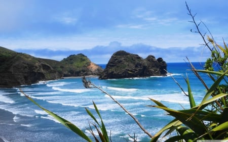 piha beach new zealand - zealand, piha, beach, new