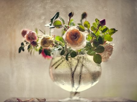 Flowers - flowers, vase, abstract, soft